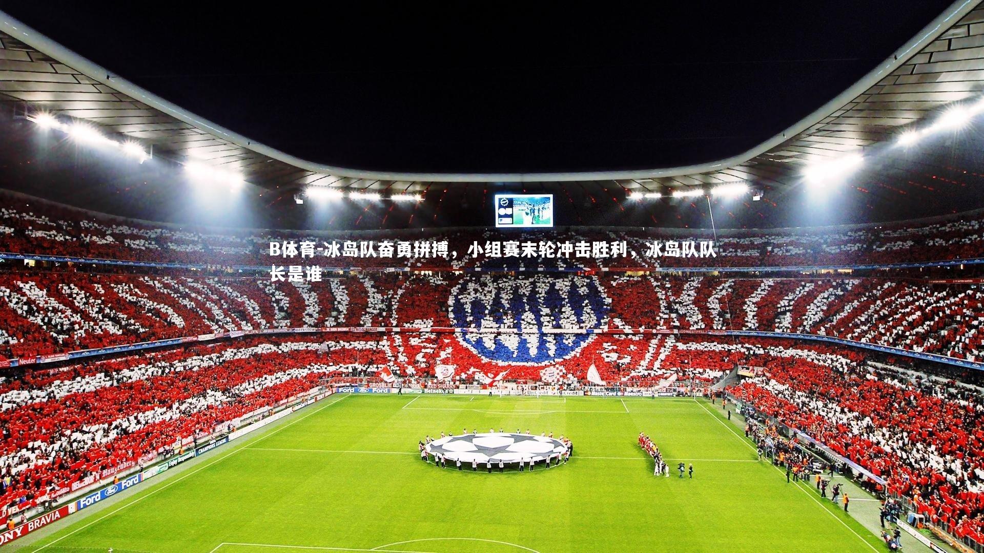 冰岛队奋勇拼搏,小组赛末轮冲击胜利,冰岛队队长是谁