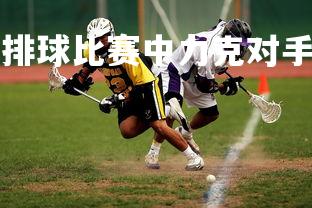 B体育-荷兰选手在排球比赛中力克对手，荷兰排球世界排名