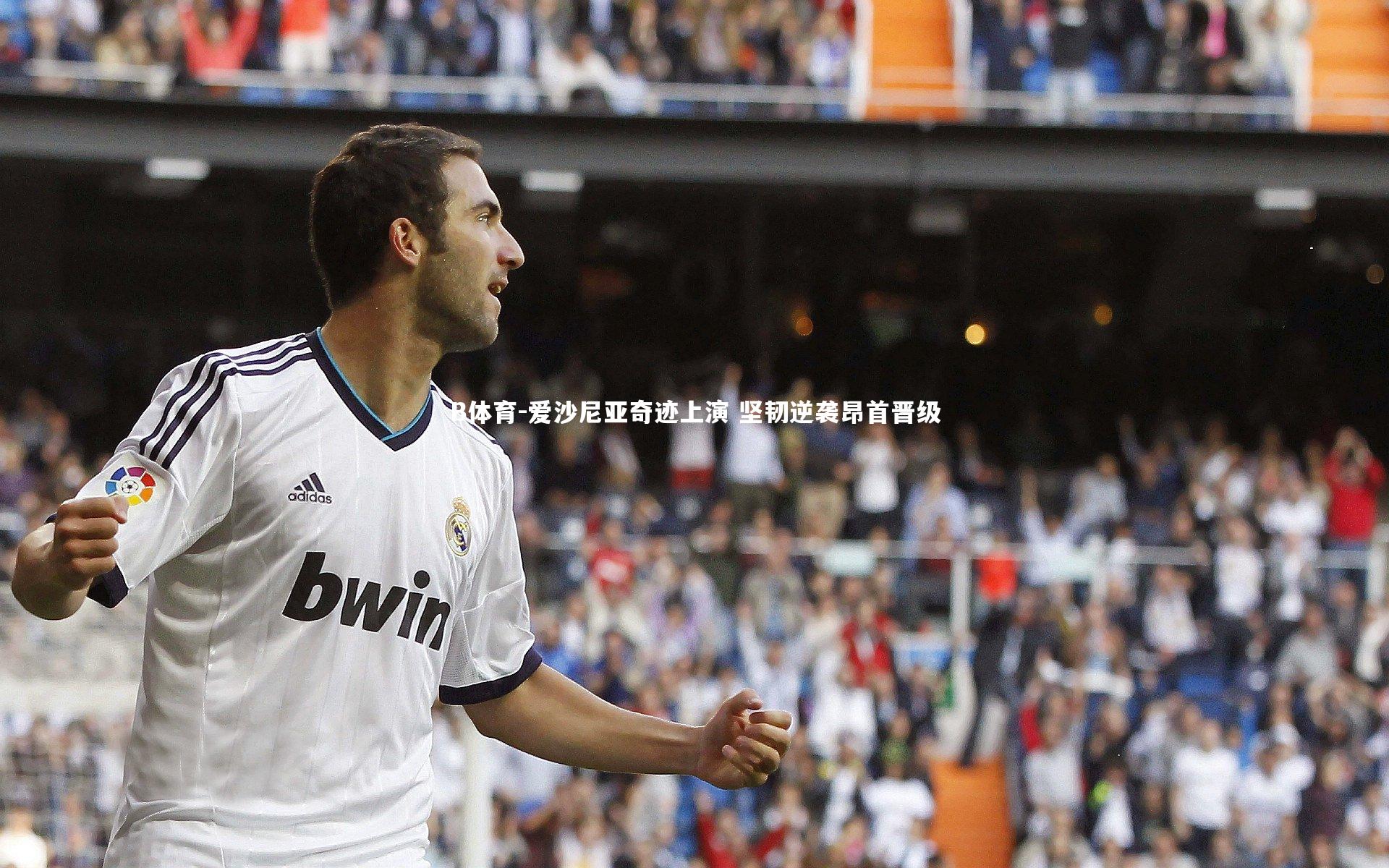 B体育-爱沙尼亚奇迹上演 坚韧逆袭昂首晋级